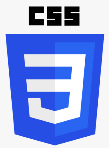 CSS Training in riffa