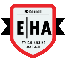 Ethical Hacking Training in hamad town