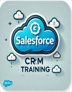 SalesForce Training in aali