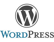 Wordpress Training in riffa